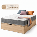 Cambrian